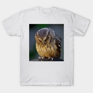sulking owl T-Shirt